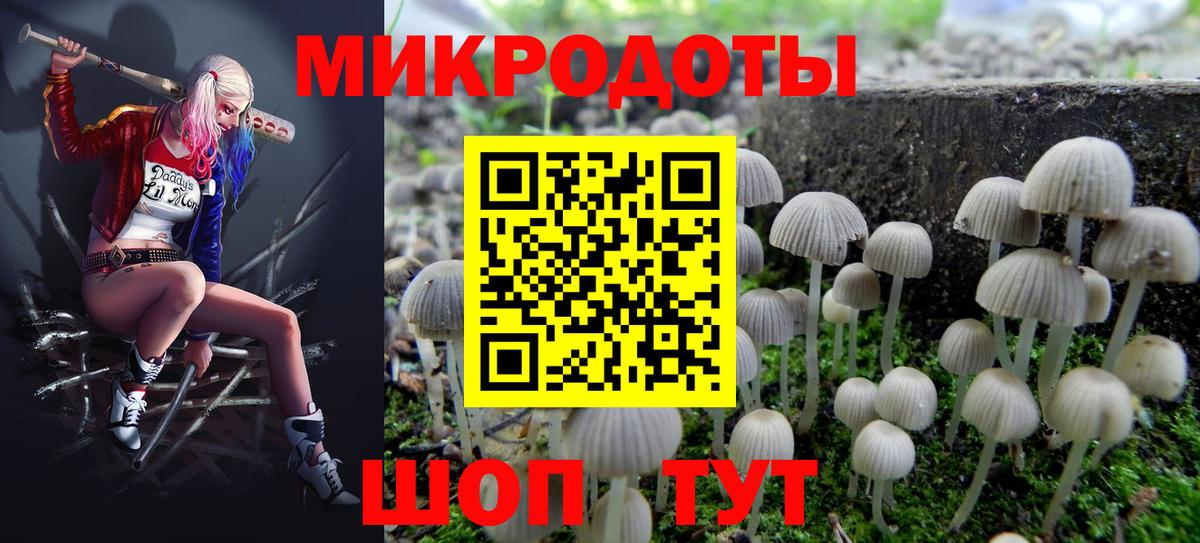 Галлюциногенные грибы MAGIC MUSHROOMS Воркута
